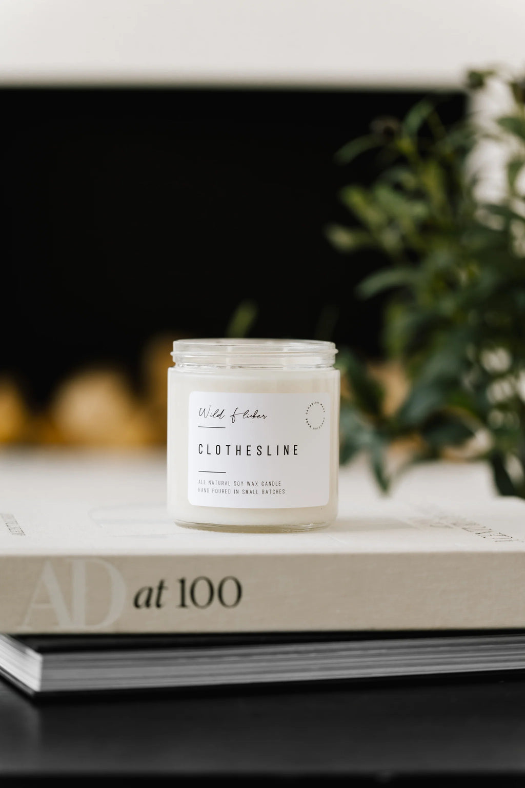 Wild Flicker Clothesline Soy Wax Candle  - Single Wick